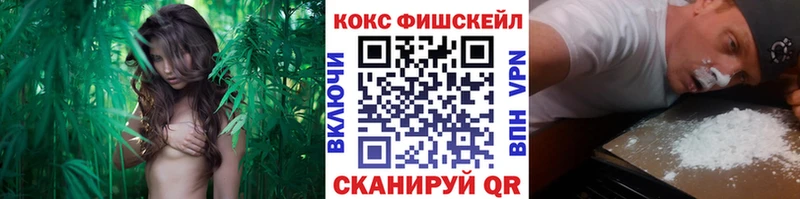 Купить закладки Георгиевск COCAIN Columbia