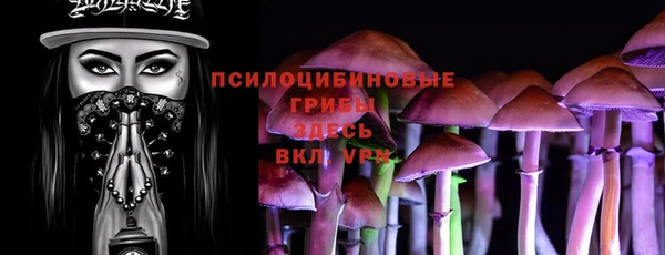 герыч Бородино
