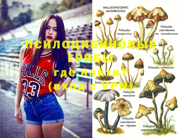 mdpv Верея