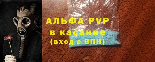 СК Бронницы